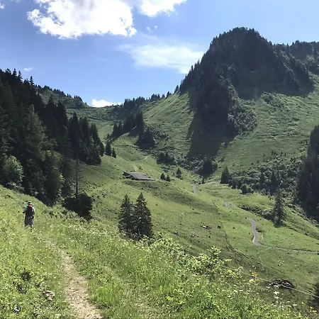 Daire Mountain River Luxury Val dʼIlliez