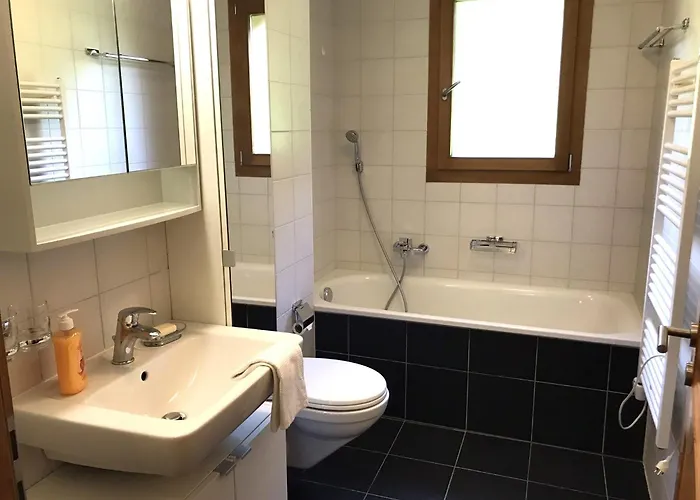 Mountain River Luxury Daire Val dʼIlliez