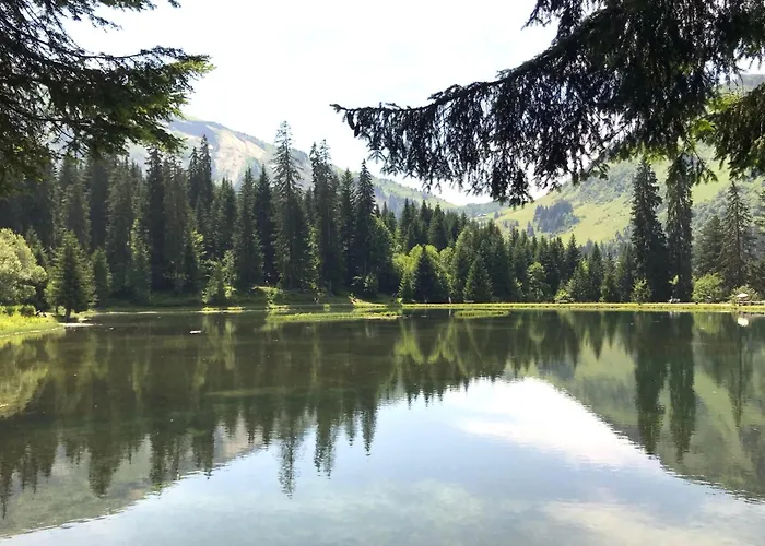 Mountain River Luxury Апартаменты